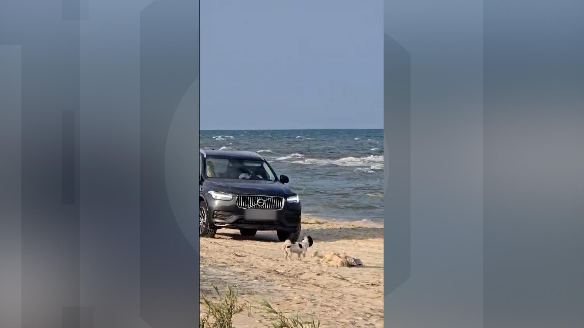 A intrat timp de două zile cu maşina pe plaja de la Vadu, printre turişti. Ce amendă a primit bucureşteanul