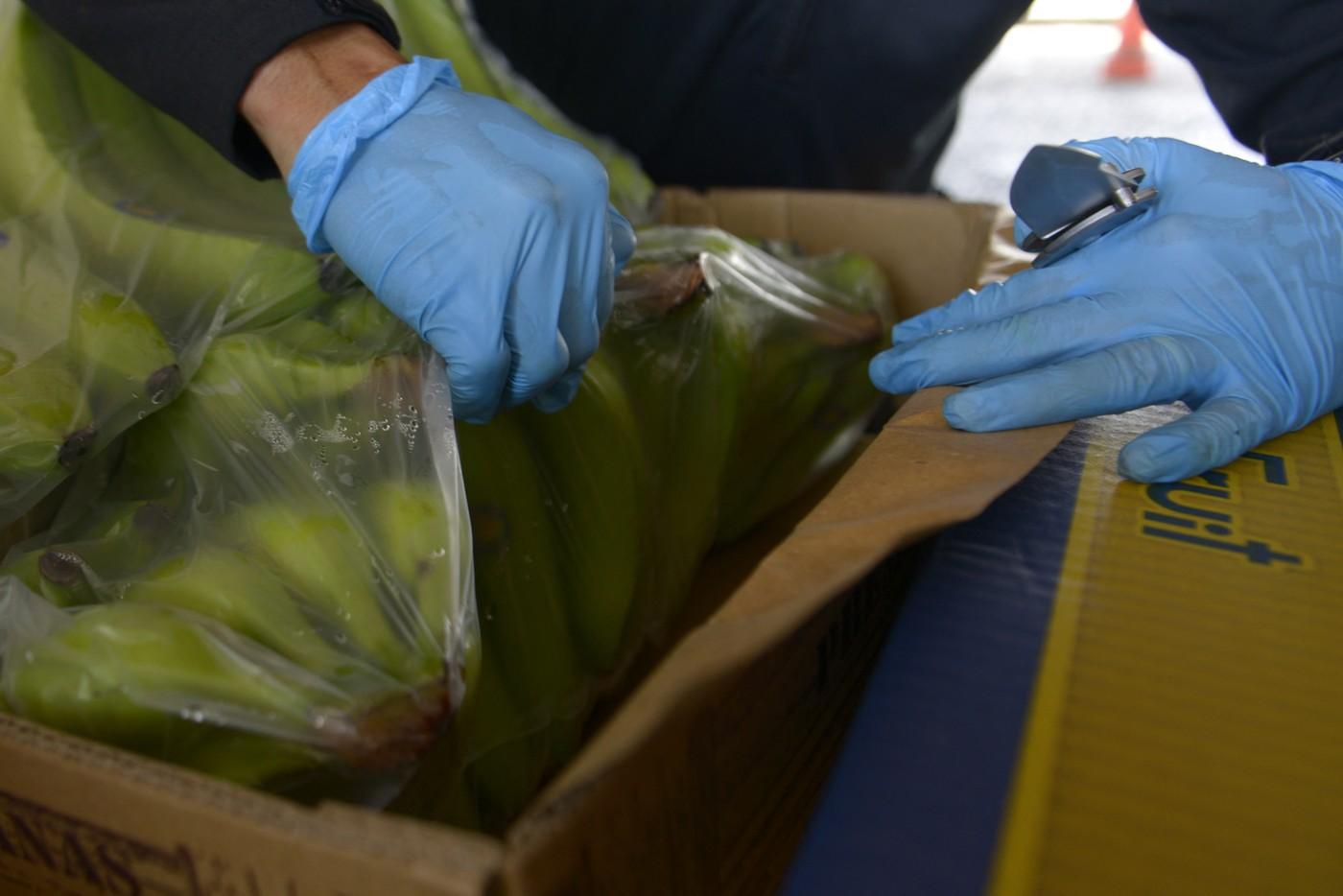 Captură uriașă de cocaină în Italia. Droguri de 250 de milioane de euro, ascunse printre banane