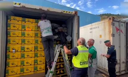 Captură uriașă de cocaină în Italia. Droguri de 250 de milioane de euro, ascunse printre banane
