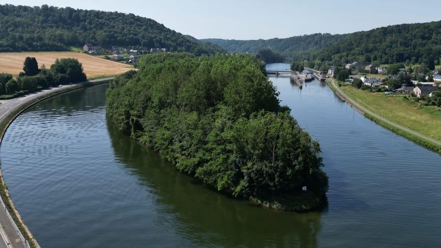 Insula Île de Houx