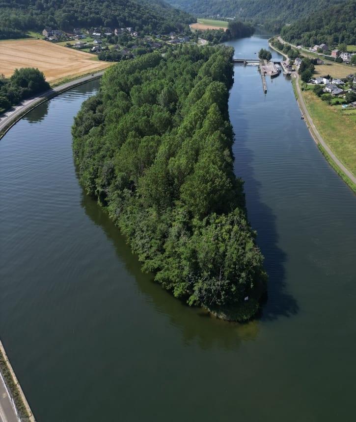 Insula Île de Houx