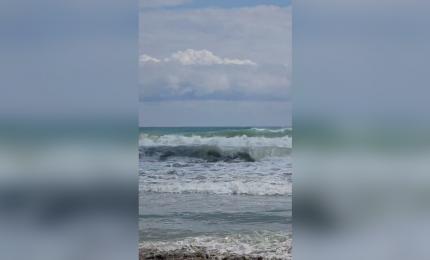 Valuri de 3 metri pe litoral şi steag roşu arborat. În ce staţiuni nu au voie să intre în mare turiştii