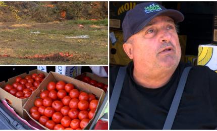 "Marfă frumoasă şi nu ai cui vinde". Fermierii români nu îşi mai pot da roşiile nici cu 1 leu kilogramul
