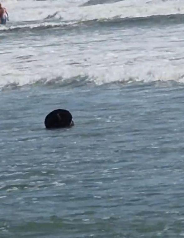 Alertă pe litoralul românesc: obiecte suspecte au apărut în Portul Tomis din Constanța și la Eforie Nord