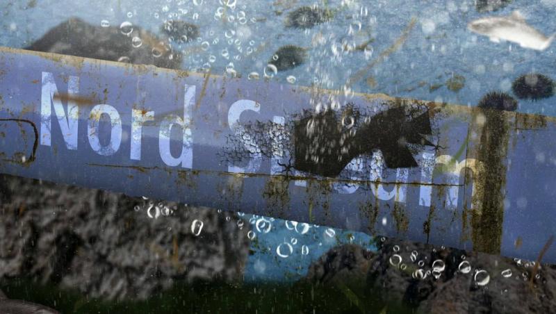 Scafandru ucrainean, suspectat de implicare în exploziile Nord Stream, arestat în Croația