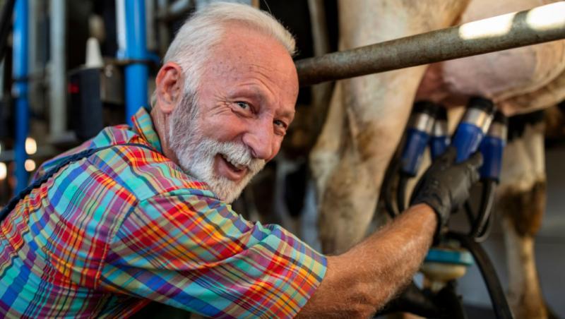 Analiză Politico: Bani europeni pentru animale "fantomă". Cum au "muls" fermierii greci fondurile UE