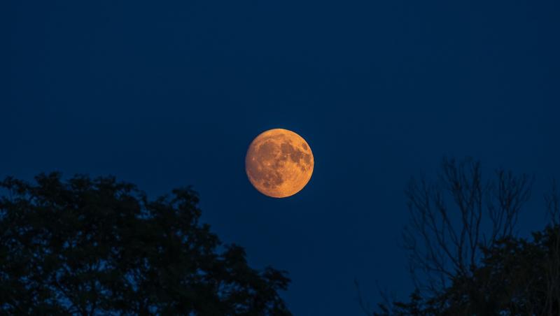Luna Sturionului şi eclipsa de Lună pe 28 august. Ce vom vedea pe cerul nopţii