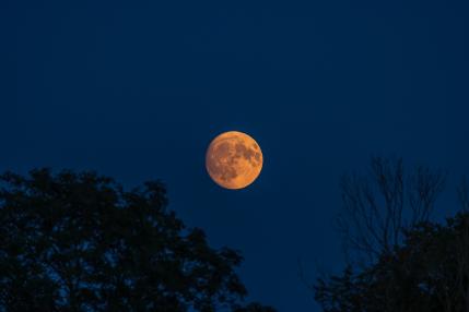 Luna Sturionului şi eclipsa de Lună pe 28 august. Ce vom vedea pe cerul nopţii