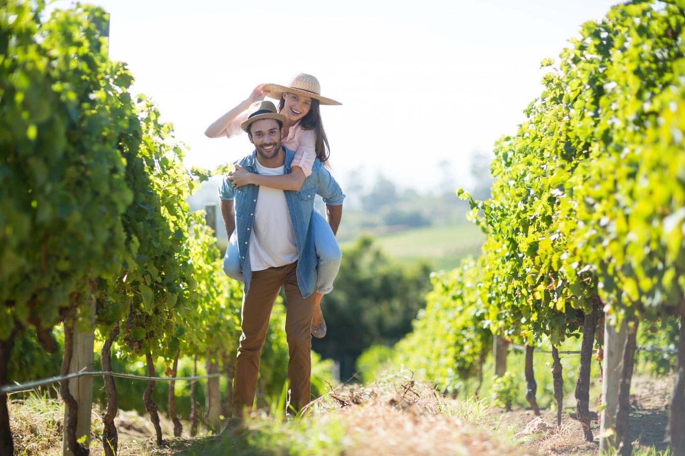 destinații pentru iubitorii de vin