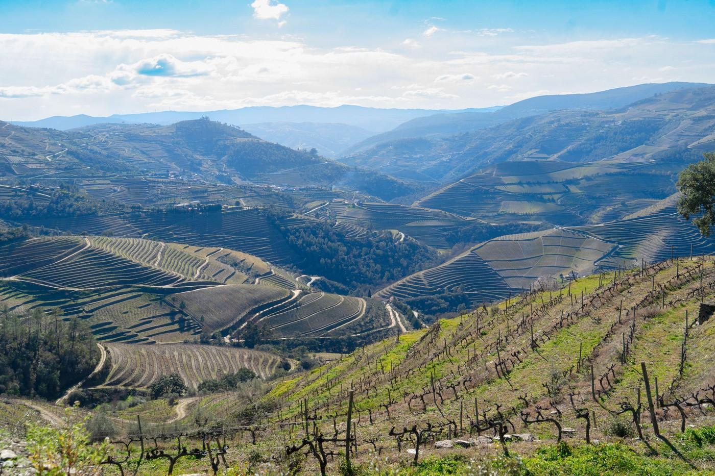 valea douro