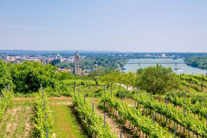 Wachau Wachau