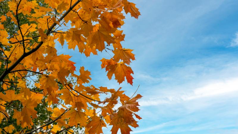 Temperaturi neobişnuite în luna septembrie. Când se încheie valul de caniculă