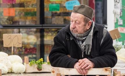 Un bărbat oferă 5.500 de euro celui care îl ajută să găsească o gospodărie la țară. Ce condiţii are