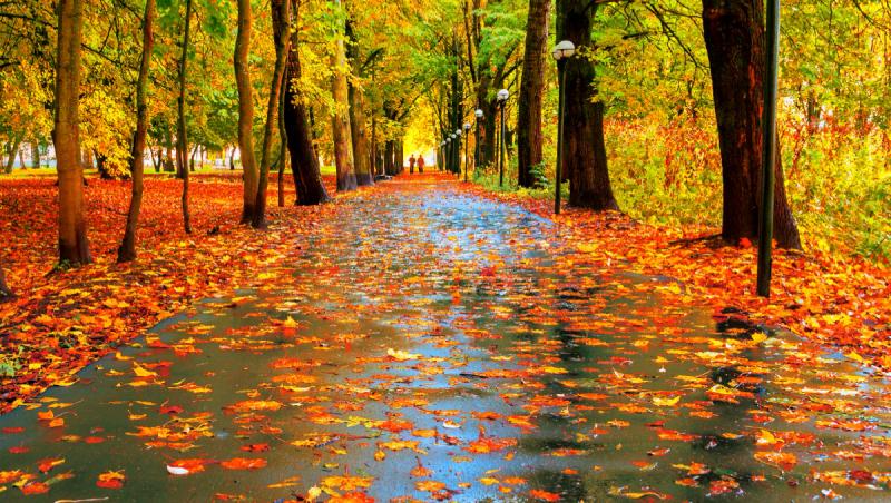 Vremea se schimbă radical după 17 septembrie. După câteva zile cu 30°C, temperaturile scad și revin ploile