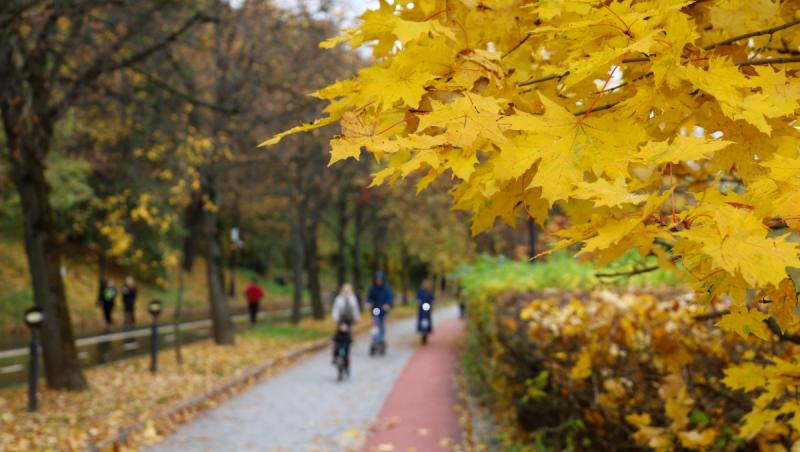 Ce se întâmplă cu vremea după 22 septembrie. Anunţul ANM
