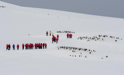 Locuri de muncă în Antarctica, cu salarii de peste 110.000 de dolari. Şi românii pot aplica