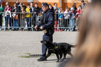 Poliţişti, patrule canine şi jandarmi lângă fiecare şcoală. Noile măsuri MAI pentru anul şcolar 2026-2027
