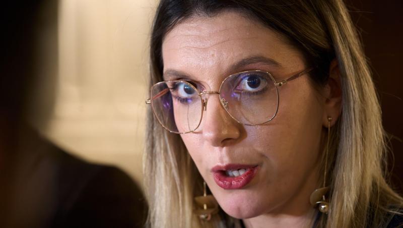 "Direcții Silvice putred de corupte". Ce spune Buzoianu că a descoperit în cazul drumului din pădurea Băneasa