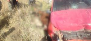 Doi copii răniţi, după ce un şofer de 83 de ani a acroşat din spate un căruţaş, în Buzău. Animalul a rămas blocat sub roţile maşinii