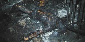 18 + Imagini şocante! Zeci de cadavre carbonizate în Odesa
