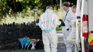 Un român, acuzat de o crimă îngrozitoare, în Irlanda. Victimă e o tânără de 29 de ani