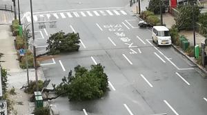Imagini teribile în Japonia, care a fost lovită de cel mai puternic taifun din ultimii 25 de ani. 300.000 de oameni trimişi în adăposturi