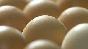 Ouă cu medicamente contra cancerului și artritei, descoperirea unor cercetători britanici