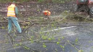 O alunecare de teren a blocat din nou traficul pe Valea Oltului. Mai mulți copaci și bolovani s-au prăvălit pe șosea