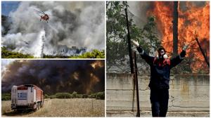 Incendiile de vegetație din Grecia amenință Atena. Autoritățile elene au solicitat ajutorul țărilor din UE pentru a stinge flăcările