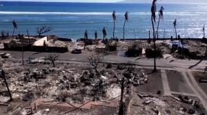 Incendiile catastrofale din Hawaii au luat aproape 100 de vieți. Supraviețuitorii își caută prin cenușa orașului Lahaina rudele dispărute