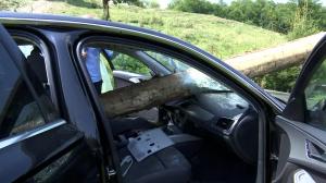 ANIMAŢIE. Un buştean căzut dintr-un TIR s-a înfipt în parbrizul unui Audi, în mers. Şoferul, convins că a fost salvat de Biblia din maşină: "Este tot timpul acolo"