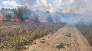 Incendiu de vegetaţie în Băneasa: flăcările au cuprins 30 de hectare, o locuinţă a fost afectată. Imagini filmate cu drona