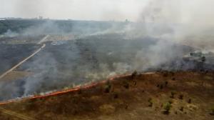 Incendiu de vegetaţie în Băneasa: flăcările au cuprins 30 de hectare, o locuinţă a fost afectată. Imagini filmate cu drona