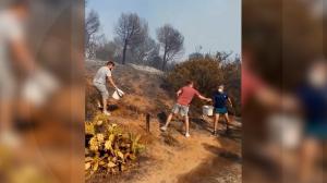 Mii de pompieri se luptă cu incendiile de vegetaţie din Spania şi Portugalia. Localnicii au făcut un zid uman şi i-au ajutat să care apă