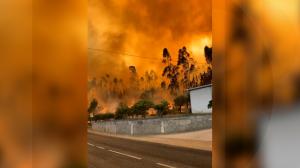 Mii de pompieri se luptă cu incendiile de vegetaţie din Spania şi Portugalia. Localnicii au făcut un zid uman şi i-au ajutat să care apă