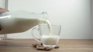 Cât de periculos este laptele pentru organism. Mituri şi realităţi despre cea mai populară băutură