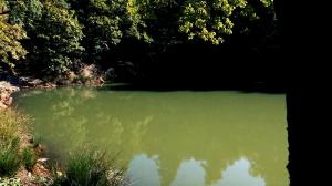 Singurul lac din lume care își schimbă culoarea în funcție de anotimp se află în România