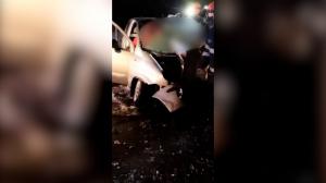 Crimă descoperită întâmplător după un accident rutier în Botoșani. Polițiștii cred că șoferul ar fi intrat intenționat în copacul de pe marginea drumului