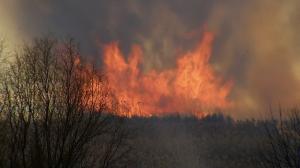 Incendiu devastator în Delta Văcăreşti. Şase hectare de vegetaţie s-au făcut scrum, iar fumul dens s-a întins pe kilometri distanţă