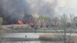 Incendiu puternic în Delta Văcăreşti. Flăcările au cuprins peste 7.000 de metri pătraţi