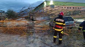 Rafale de vânt puternice în Hunedoara. Un acoperiş a fost smuls, iar doi copaci au fost doborâţi peste o maşină