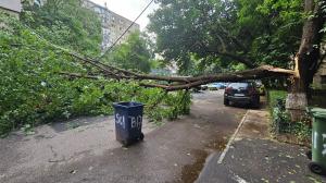 Urmările furtunii de cod roşu din Capitală: Peste 100 de copaci căzuţi şi aproape 100 de maşini distruse. Pompierii au avut 500 de intervenţii