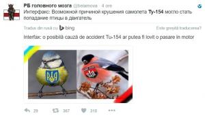 Tragedia aviatică din Marea Neagră, ridiculizată de ucraineni, pe Twitter!