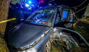 Un şofer român a provocat un cumplit accident în Ungaria. Patru oameni au ajuns de urgenţă la spital (Foto)