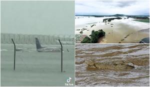Imagini apocaliptice, după inundaţiile istorice din Australia: Un crocodil de 3 m a fost adus de puhoaie într-un canal de scurgere, avioane acoperite de apă