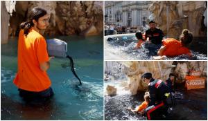 Protest controversat la Roma. Activiştii de mediu au turnat un lichid negru în celebra Fontana dei Quattro Fiumi
