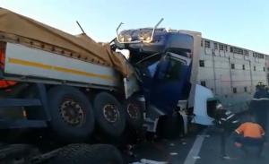 IMPACT FRONTAL DEVASTATOR între două TIR-uri, pe autostrada Arad-Timișoara! Ambii şoferi SUNT MORŢI. Traficul este blocat (GALERIE FOTO + VIDEO)