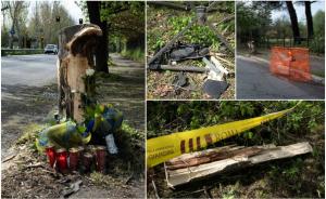 Tânăr român mort în Italia, într-un Audi A3 zdrobit de un copac. Prietenul lui de doar 19 ani, tot român, este în comă