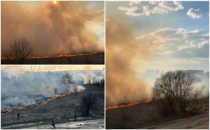 Incendiu în Delta Văcăreşti: flăcările au cuprins peste 1,5 hectare de teren. Focul s-ar putea extinde din cauza vântului
