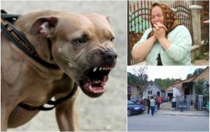 TRAGEDIE în Sighetu Marmaţiei! Copilaş de 4 ani, SFÂŞIAT de câinele Amstaff al unchiului. Animalul l-a ucis pe loc, apoi l-a târât în curtea casei